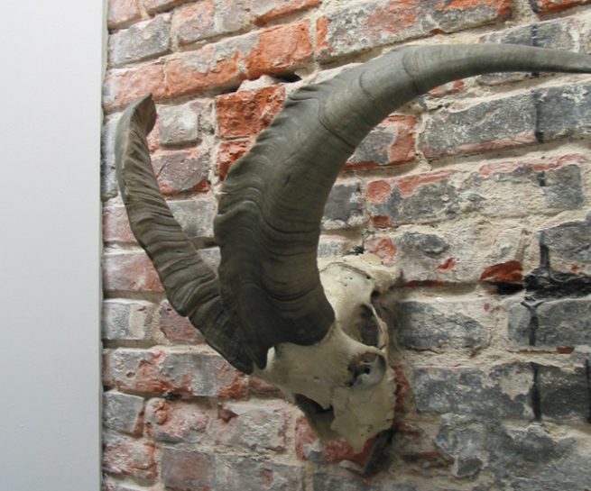 Ausbau Fabriketage St. Georg